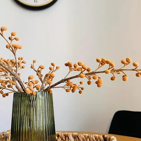 Apartment Amao Mantis - Design - Center - King-size Bed - Parking - Storchenturm - Bis 10 Pers 2whg