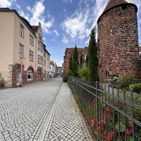Amao-mantis I Design I Center I Kingsizebett I Parkplatz Apartment Lahr (Baden-Wurttemberg)